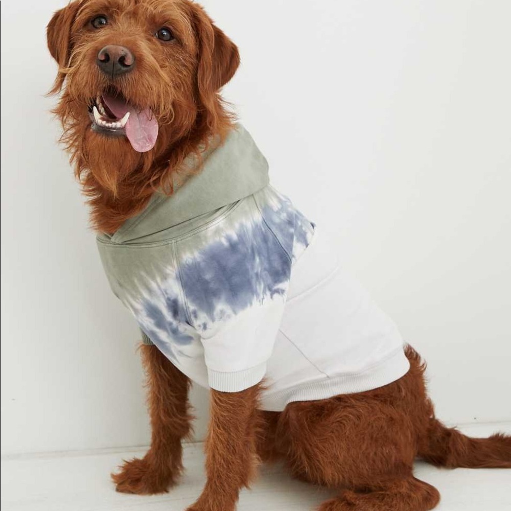 AEO Dog Hoodie